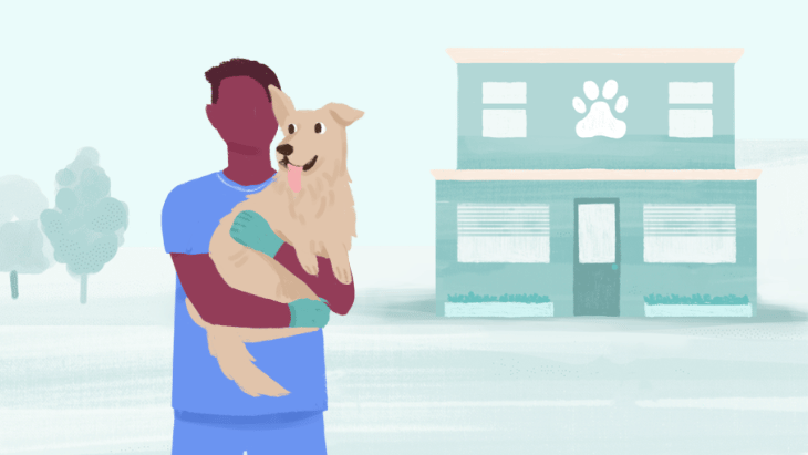 Veterinary